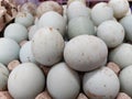 Duck fresh eggs pile for sale at a market as background Royalty Free Stock Photo