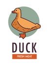 Duck fresh meat commercial logo with domestic bird