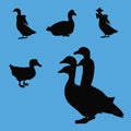 Duck geese silhouettes