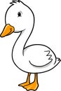 Duck goose Royalty Free Stock Photo