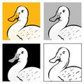 Duck Head Illustration