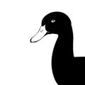 Duck head profile side vector illustration flat Royalty Free Stock Photo