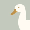 Duck head profile side vector illustration flat Royalty Free Stock Photo