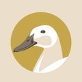 Duck head vector illustration style Flat Royalty Free Stock Photo
