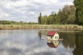Duck house on the lake - raw Royalty Free Stock Photo