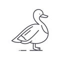 Duck icon, linear isolated illustration, thin line vector, web design sign, outline concept symbol with editable stroke Royalty Free Stock Photo