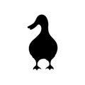 Duck icon vector. Bird illustration sign. Hunting symbol. Goose logo. Royalty Free Stock Photo