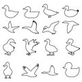 Duck icon vector set. Bird illustration sign collection. Hunting symbol. Goose logo. Royalty Free Stock Photo