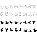 Duck icon vector set. Bird illustration sign collection. Hunting symbol. Goose logo. Royalty Free Stock Photo