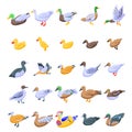 Duck icons set, isometric style