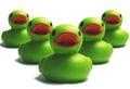 Duck invasion Royalty Free Stock Photo