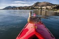 Duck On A Kayak