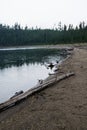 Duck Lake in Yellowstone National Park Royalty Free Stock Photo