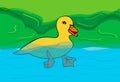 duck in the lake , swimming in the water Royalty Free Stock Photo