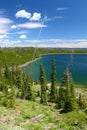 Duck Lake in Yellowstone Royalty Free Stock Photo