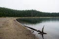 Duck Lake in Yellowstone National Park Royalty Free Stock Photo