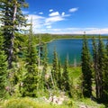 Duck Lake - Yellowstone NP Royalty Free Stock Photo