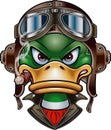 Duck with Leather Flying Helmet and goggles