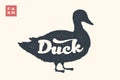 Duck. Lettering, typography