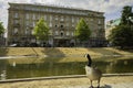 A duck looking across the lake, Nordliche Dussel at a hotel in D