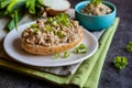 Duck meat spread with onion, mustard and herbs Royalty Free Stock Photo