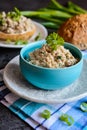 Duck meat spread with onion, mustard and herbs Royalty Free Stock Photo
