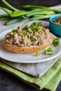 Duck meat spread with onion, mustard and herbs Royalty Free Stock Photo