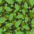 Duck Military pattern seamless. Drake Army background. Baby fabric texture Protective khaki