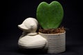 Duck mini flowerpot with heart flower taken in the studio