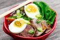 Duck noodles with egg, vegetables and duck meat in bowl Royalty Free Stock Photo