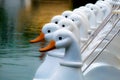 Duck pedal boats on lake in public park. Royalty Free Stock Photo