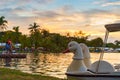 Duck pedal boats in public park at sunset time Royalty Free Stock Photo