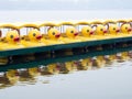 Duck pedal boats in a row Royalty Free Stock Photo