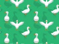 Duck Pekin Cartoon Seamless Wallpaper