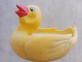 DUCK PICTURE YELLOW AWESOME