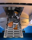 Duck pilot landing on blue planet Royalty Free Stock Photo