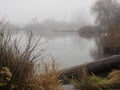 Duck pond on a foggy day