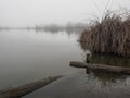 Duck pond on a foggy day