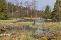 A duck pond in the High Fens