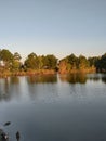 Duck pond sunset lake