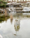 Duck in a pond with waterfall reflection Royalty Free Stock Photo
