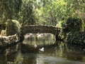 Duck pound and bridge in Maria Luisa Park