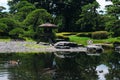 Duck in a pound at a Japanese garden