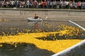 Start of a rubber duck toy race