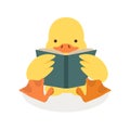 Duck Reading A Book vector