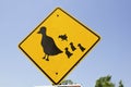 Duck road sign Royalty Free Stock Photo