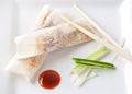 Duck rolls with hoisin sauce Royalty Free Stock Photo