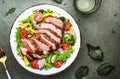 Duck salad with grilled breast and vegetables: red tomato, cucumber, paprika, onoin and chard, frisse, mizuna and arugula leaves Royalty Free Stock Photo