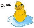 Duck say quack