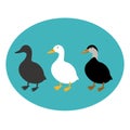 duck set vector illustration style Flat Royalty Free Stock Photo